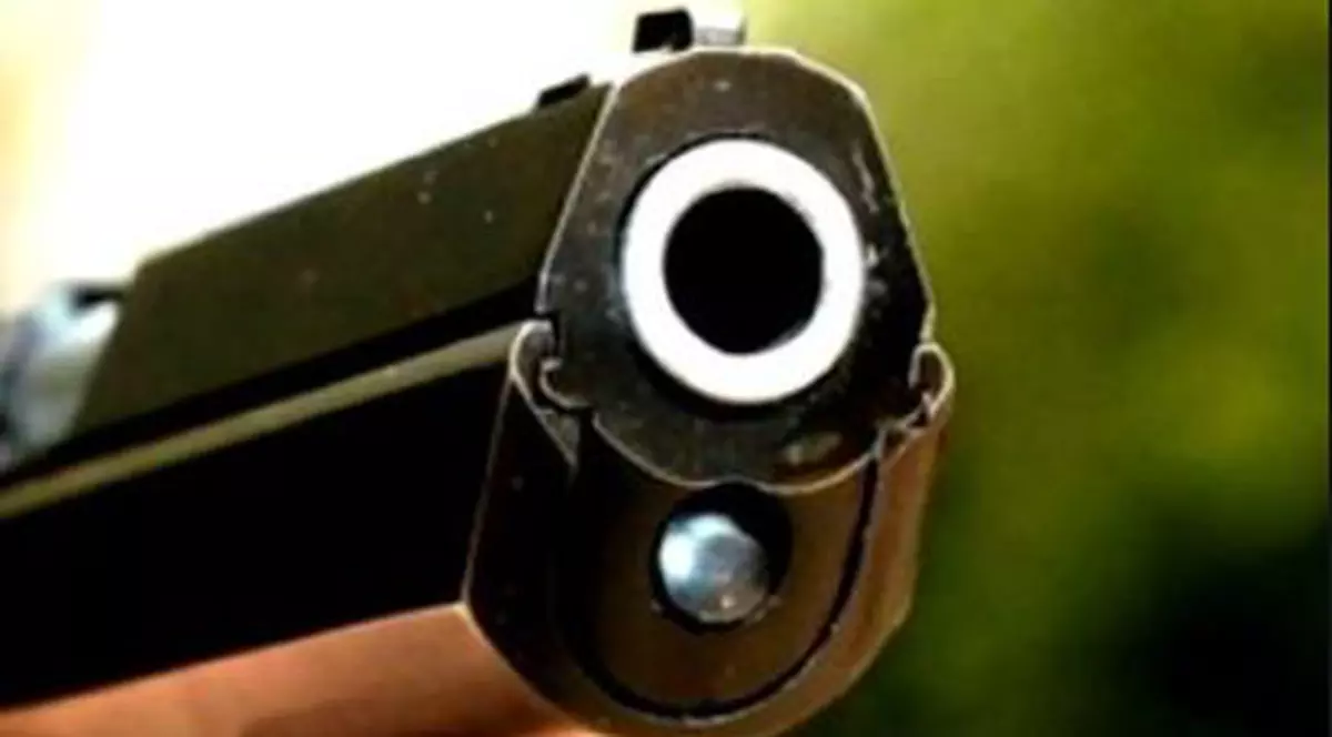 Bărbat din Argeș, împușcat de polițiști. I-a atacat pe agenți cu un cuțit