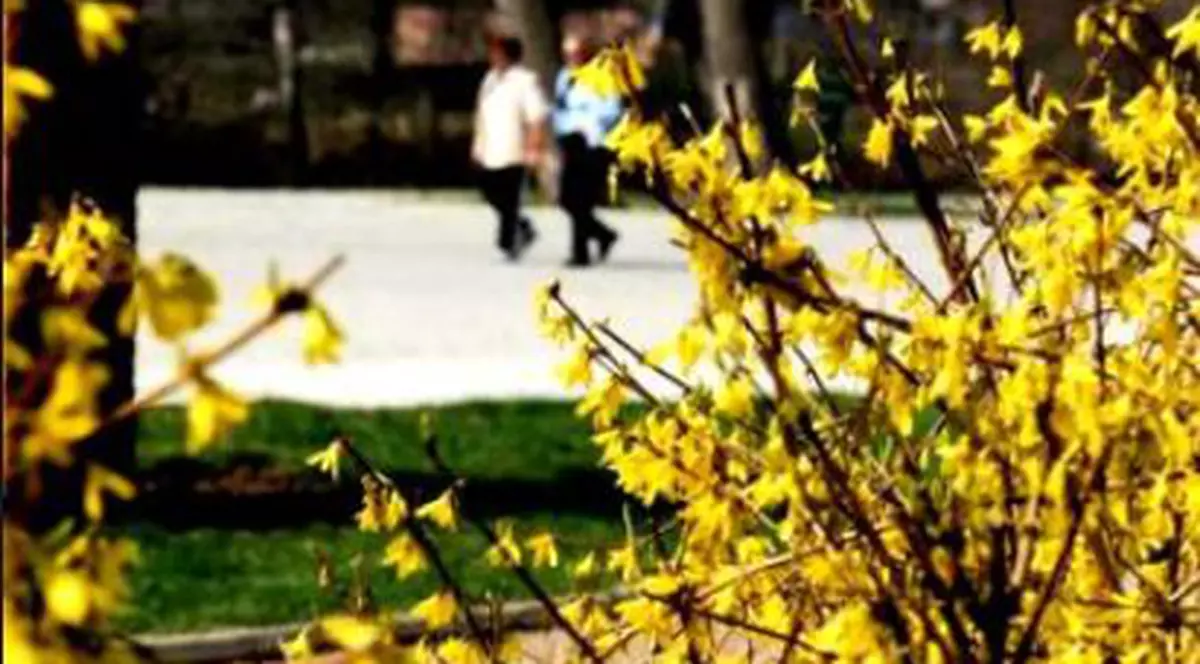 Prognoza meteo pentru duminică, 13 octombrie. Vreme caldă în toată țara