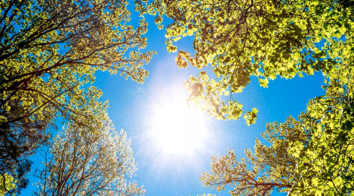 Prognoza meteo pentru luni, 12 august. Caniculă și disconfort termic ridicat