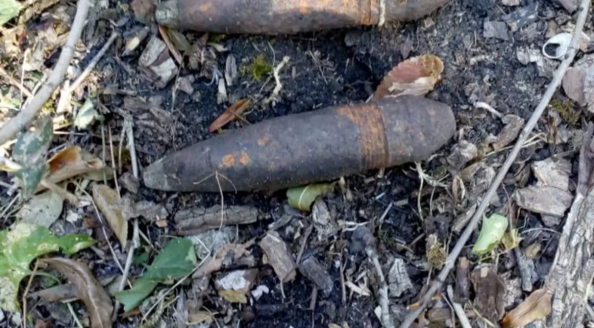 Șase bombe din timpul războiului au fost găsite într-o pădure din Vrancea