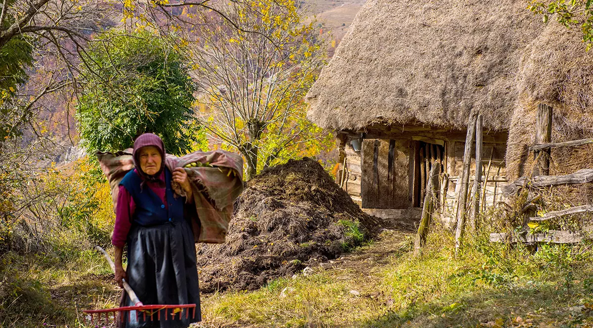 România secolului XXI - o ţară rurală, nu agricolă