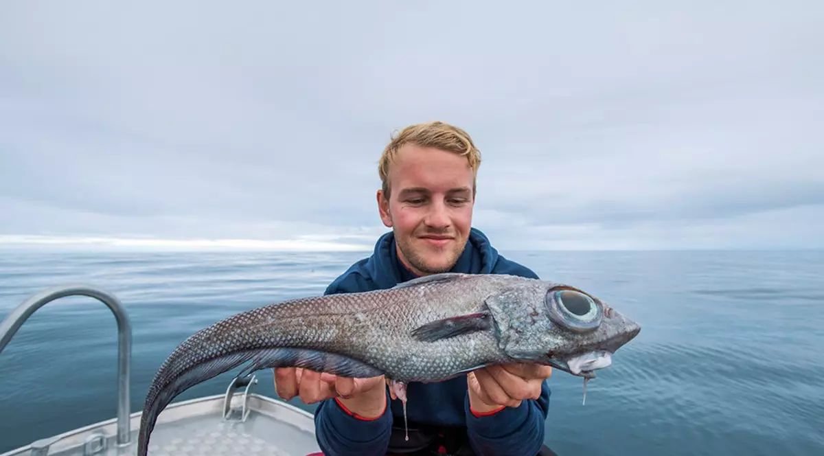 O creatură extrem de neobișnuită a fost prinsă în apele din Norvegia (foto Facebook)