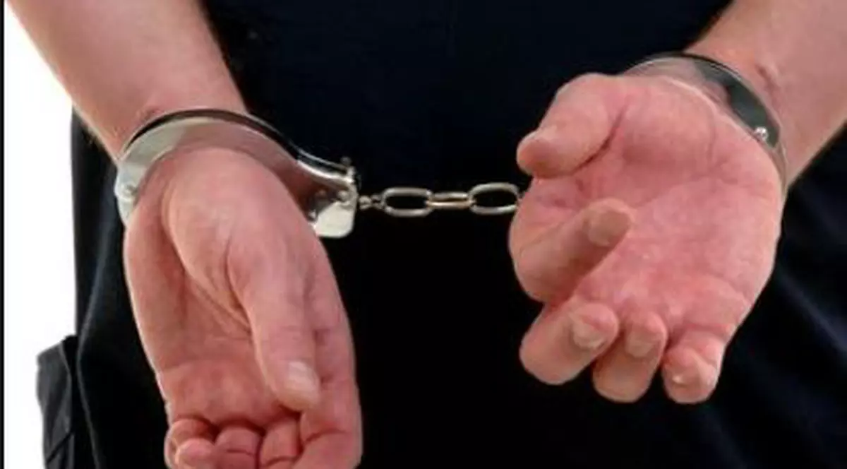 Tânăr de 21 de ani, bănuit că l-a omorât în bătaie pe fiul unui consilier local din Argeș, a fost arestat preventiv