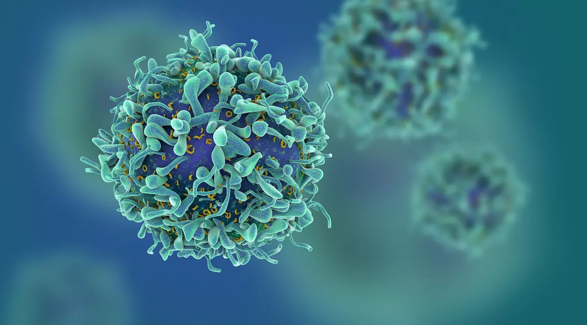 Celulele canceroase sunt distruse de o celulă din organismul nostru