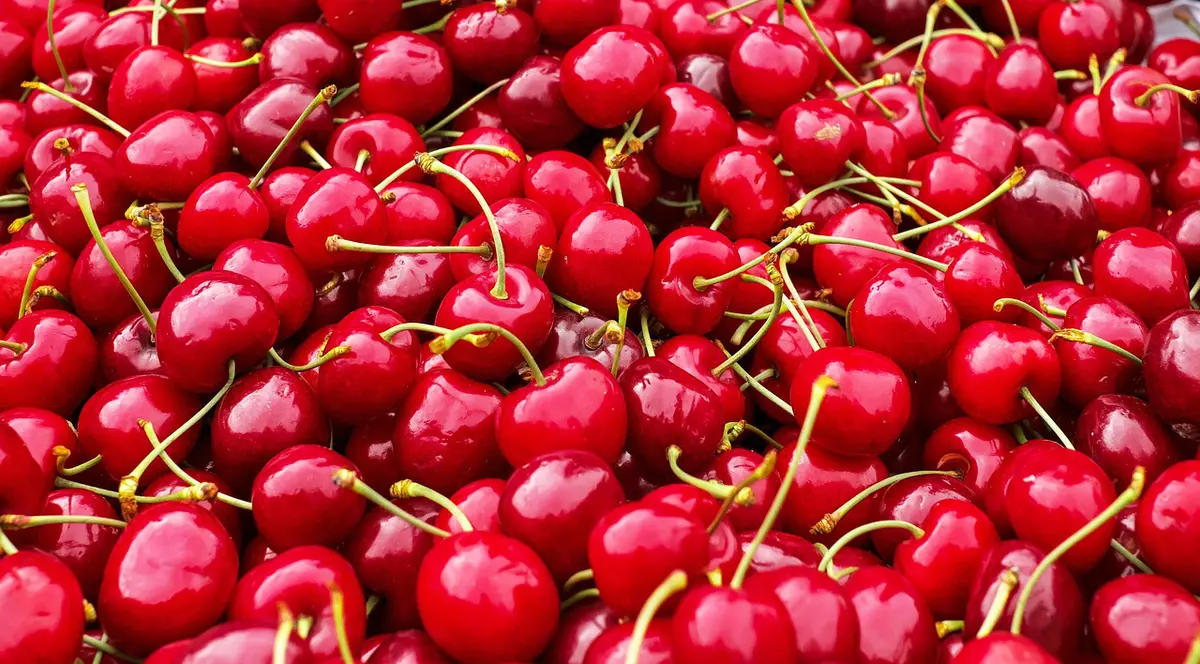 VIDEO Ceaiul de cozi de cireşe, bun pentru rinichi