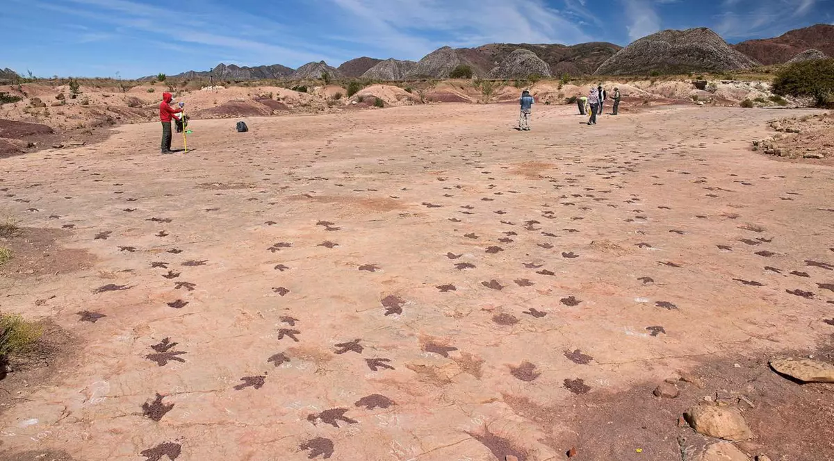 Pământul dinozaurilor. Locul de pe glob unde sunt cele mai multe și mai bine conservate urme lăsate de „moștrii” din trecut