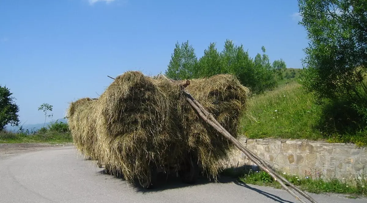 O bătrână a murit după ce a căzut de pe o căruță cu fân!