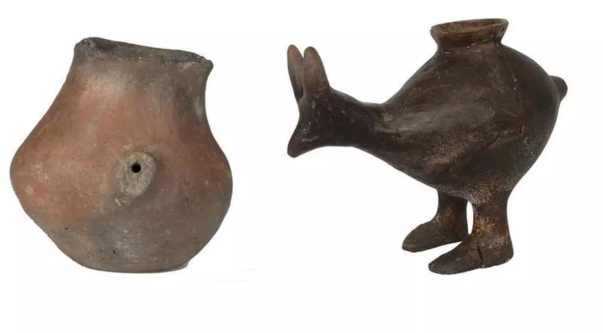 Oamenii de știință au descoperit biberoane folosite acum 7.000 de ani