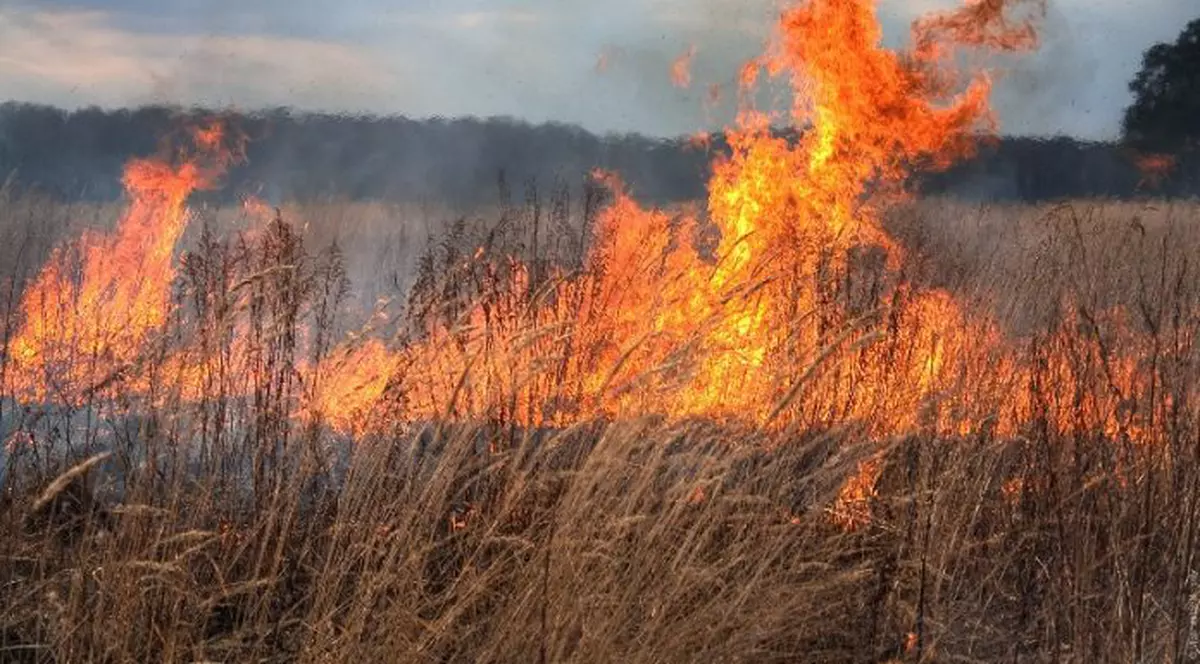 Un bărbat din Vrancea a murit din pricina unui incendiu de vegetație