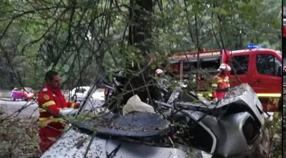 Un tânăr din Constanța a murit, după ce a intrat cu mașina într-un copac. Era angajat la Spitalul Militar