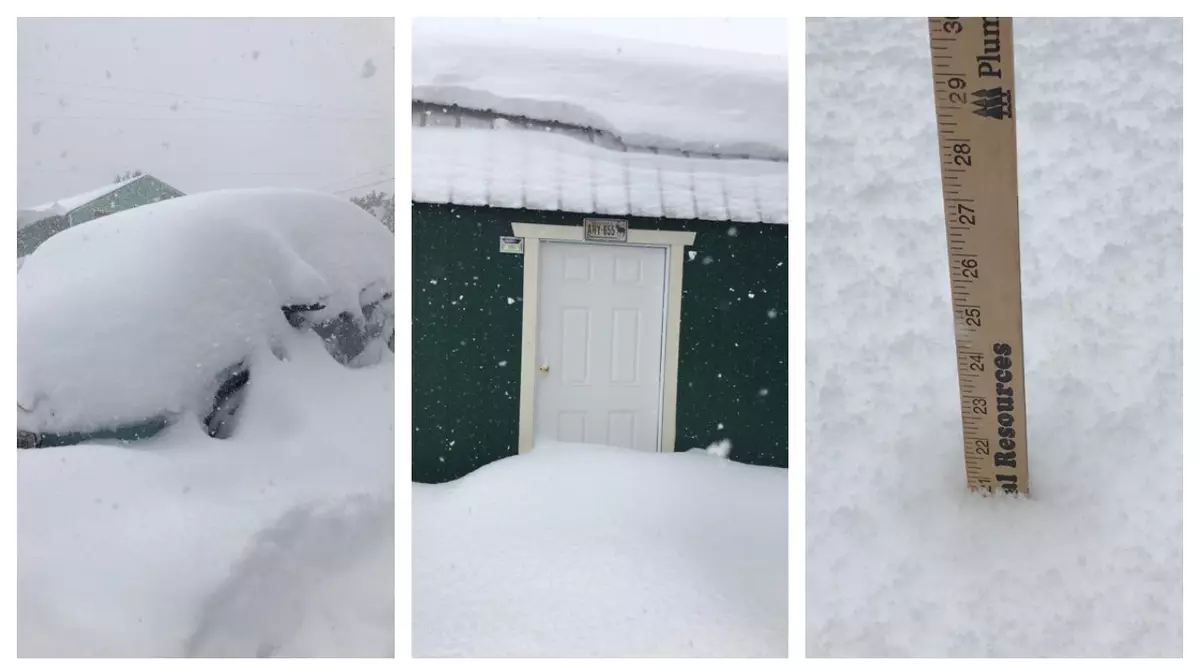 O furtună de zăpadă a lovit statul american Montana, în septembrie. Starea de urgență, declarată din cauza fenomenului neobișnuit VIDEO