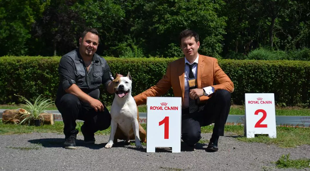 Ovidiu Anton și-a pierdut prietenul campion. Rockerul are canisă, iar Rico era câinele lui preferat și “fruntea” la expozițiile canine