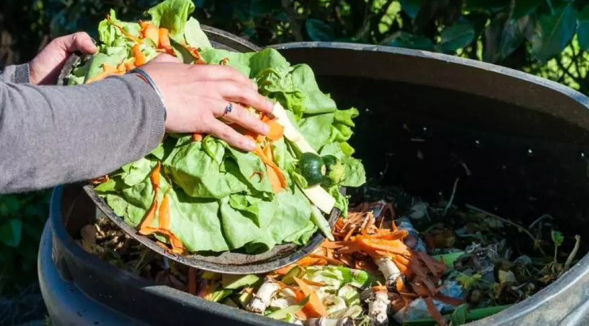 Banca pentru Alimente: ”Românii aruncă 6.000 de tone de mâncare pe zi, deși jumătate din copiii de la țară nu au ce mânca”