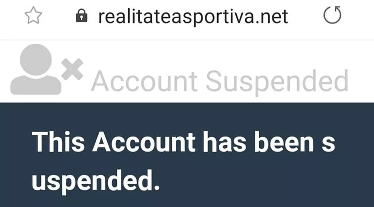 Cu câteva ore înainte de decizia privind licența Realitatea TV, site-ul de sport al trustului și alte 40 de site-uri locale au fost atacate de hackeri și au fost inactive peste trei ore