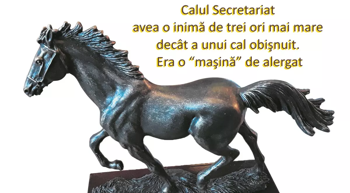 Calul Secretariat – cel mai impresionant cal de curse al tuturor timpurilor