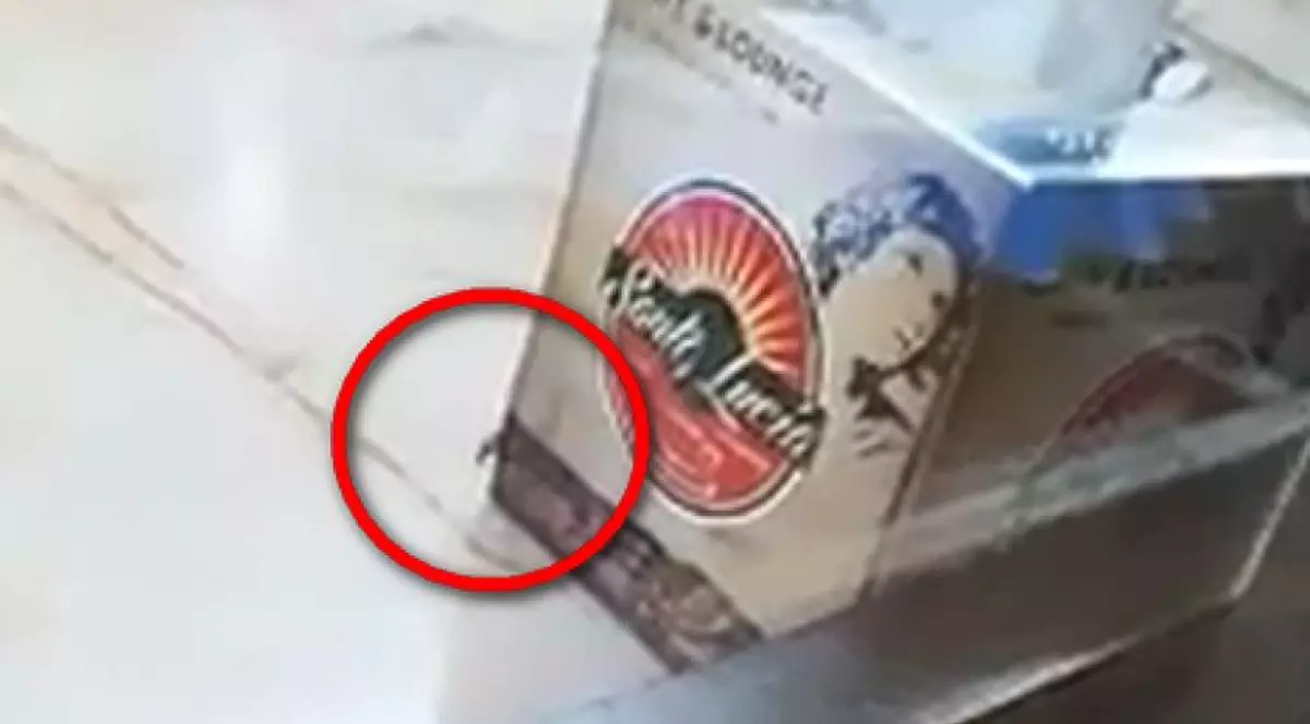 VIDEO Fast food din Galați, închis după ce un client a filmat gândaci în vitrine. Amenzile primite de proprietarul localului