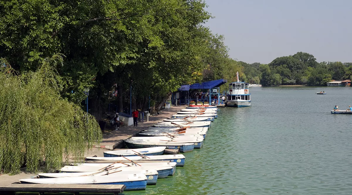 Parcul Regele Mihai I