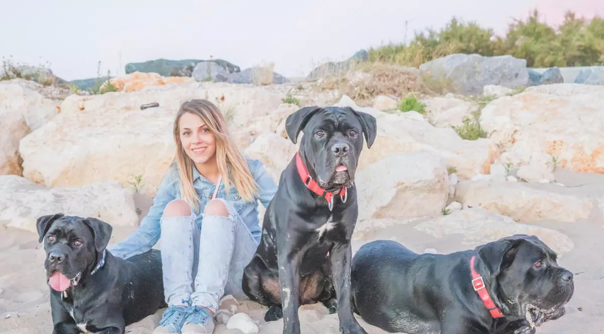 Căței, pisici, ba chiar și o găină! Ce animale de companie au vedetele și cum le răsfață