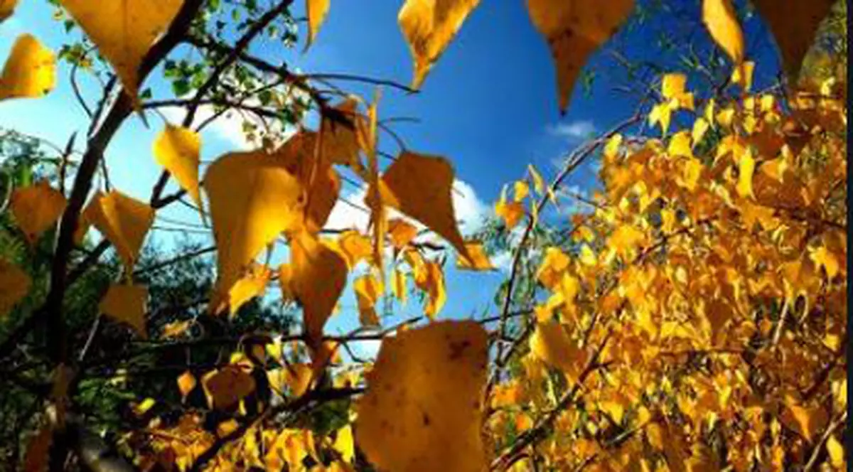 Prognoza meteo pentru luna octombrie 2019