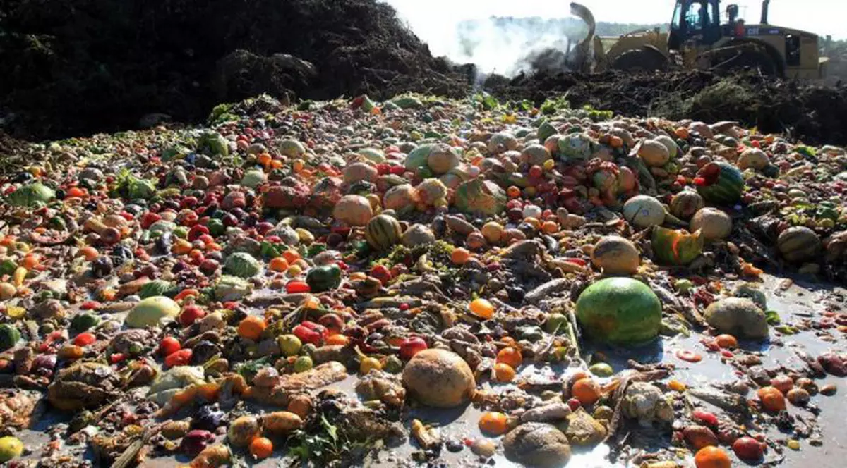 Alimente de 400 de miliarde de dolari se pierd până să ajungă în magazine