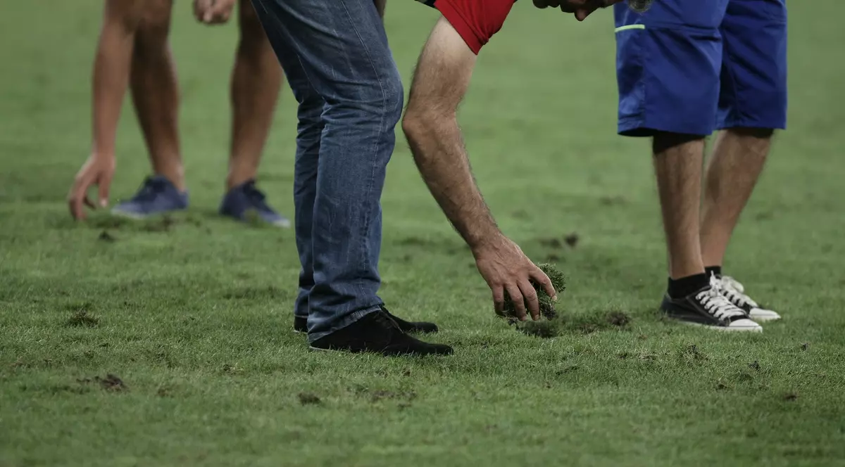 Gazon hibrid pe Arena Națională pentru Euro 2020. ”Nu știm cum să îngrijim suprafețele de joc”