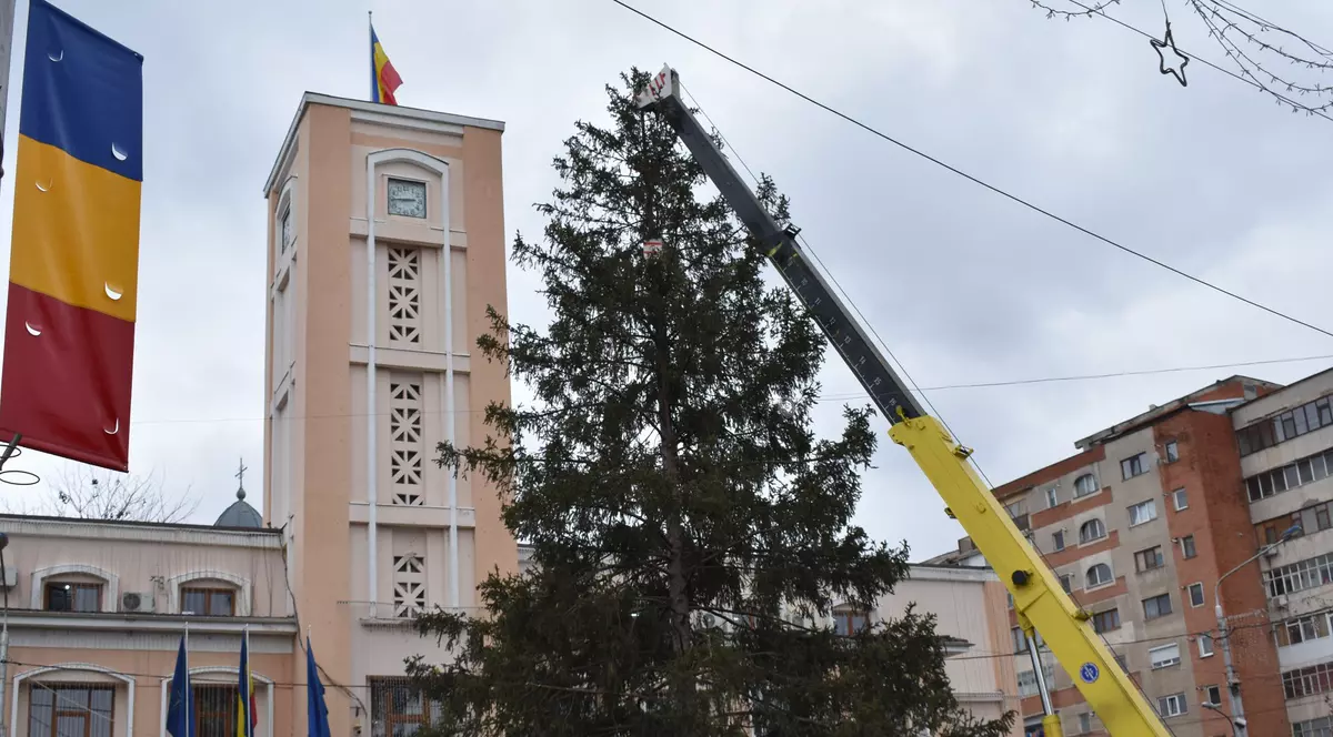 Primăria Bârlad le cere localnicilor să doneze bradul de Crăciun orașului. „De ce să cheltuim de la buget?”