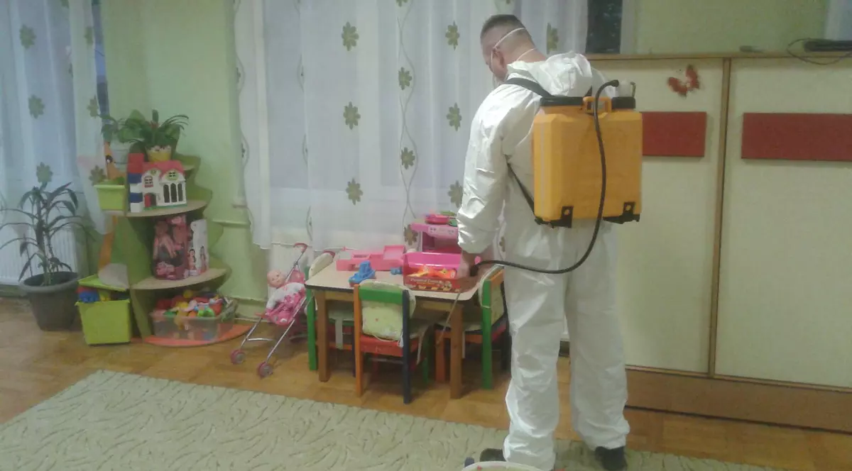 Firma de deratizare care s-a ocupat de blocul din Timișoara unde au murit 3 persoane nu a declarat niciun angajat la Registrul Comerțului. Cum atrăgea clienți noi și ce tarife avea