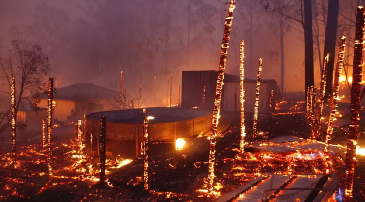 Trei oameni au murit în incendiile de vegetație care au curprins Australia. Și o rezervație de urși koala a fost distrusă. Au pierit sute de exemplare
