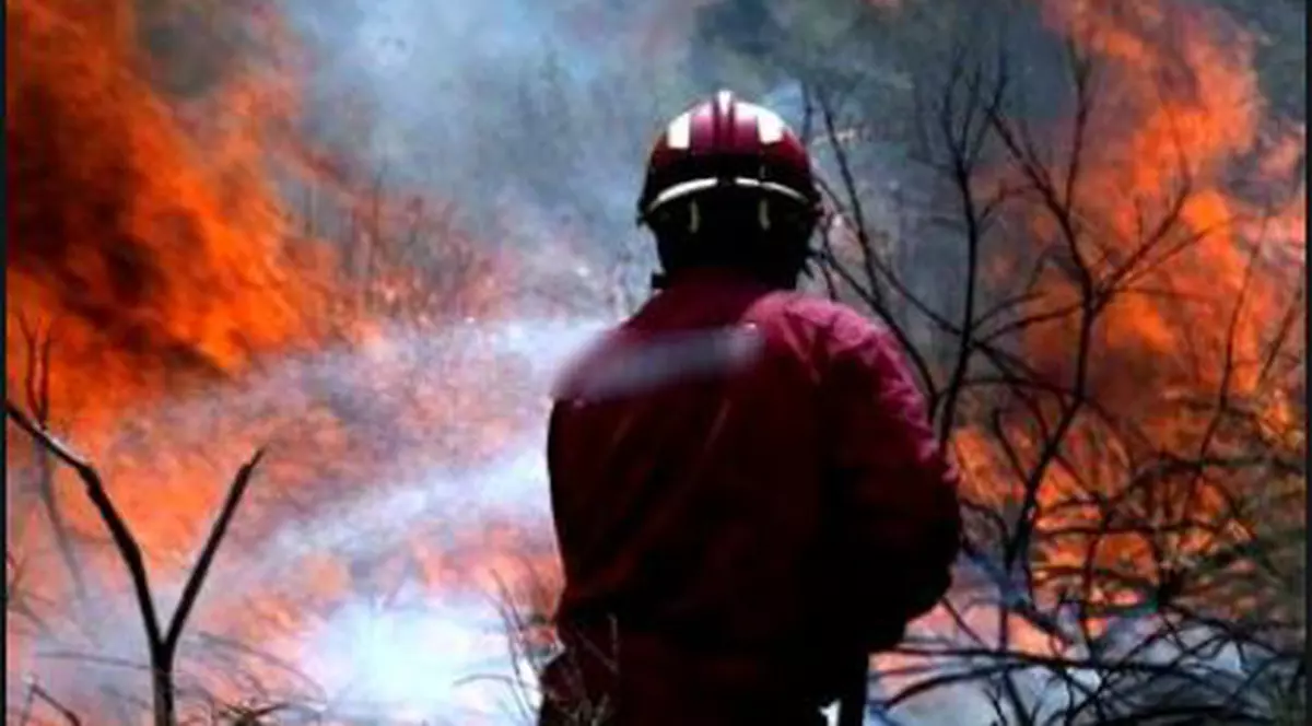 Incendiu puternic în Brașov. 10 hectare de vegetație cuprinse de flăcări