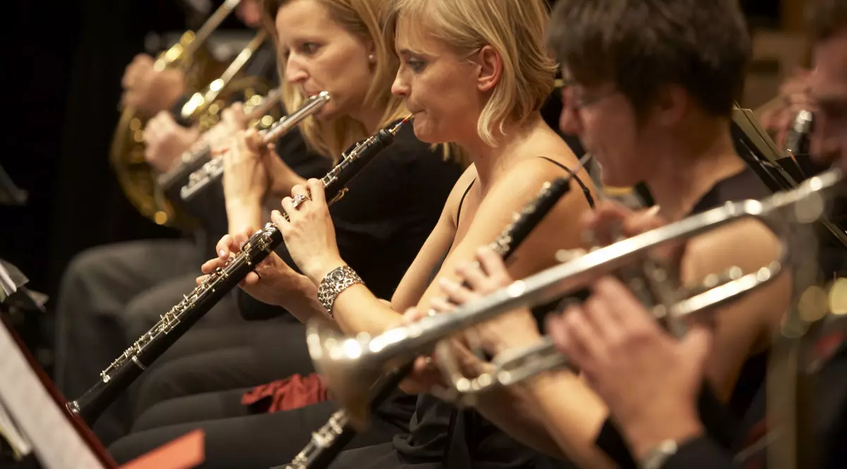 Alertă antiteroristă la un concert din Viena din cauza unei jucării sexuale care a început să vibreze într-o geantă