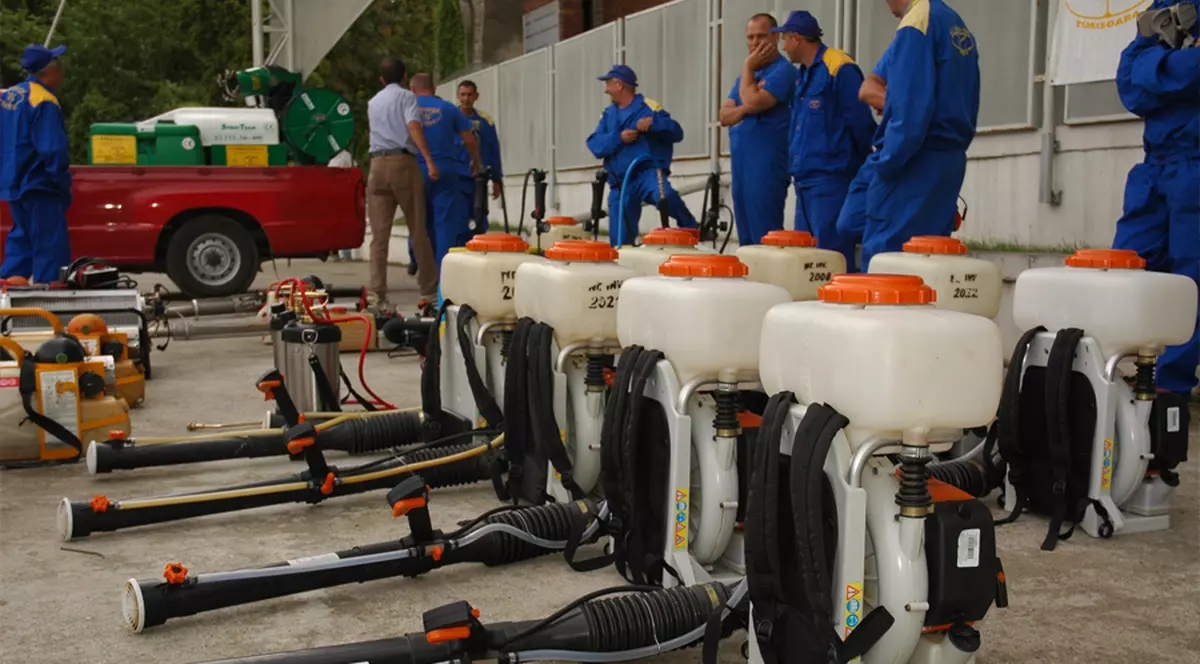 O directoare a unei firme de deratizare acuză modul de avizare a societăților cu această activitate în Timișoara: ”Sincer? Nu există nici un control”