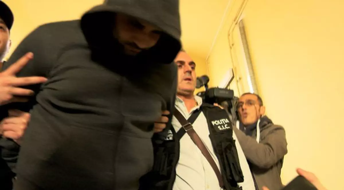 Patronul firmei de deratizare din Timișoara, urmărit penal pentru ucidere din culpă și trafic de substanțe toxice