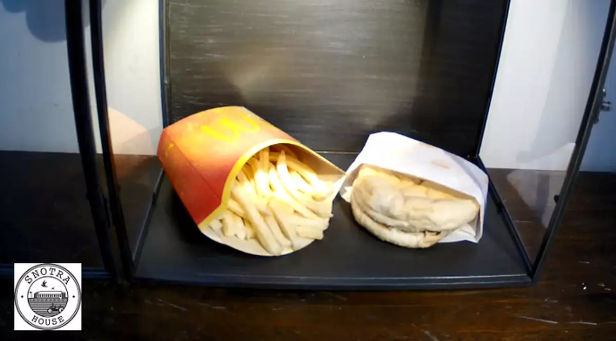 A ținut un cheeseburger și cartofi de la McDonalds timp de zece ani! „Am auzit că nu se strică niciodată și am vrut să verific dacă e așa!”. Cum arată acum produsele