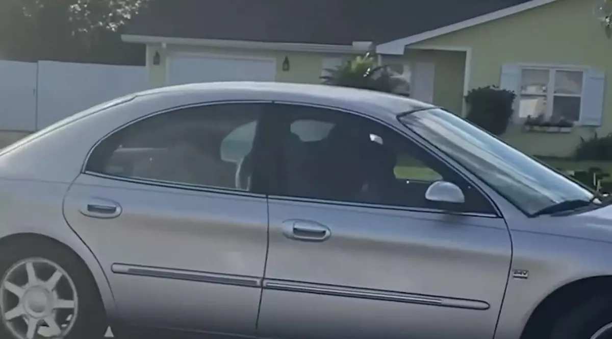 VIDEO Un câine rămas singur în mașină a reușit să pornească autoturismul. Patrupedul a mers în cerc timp o oră