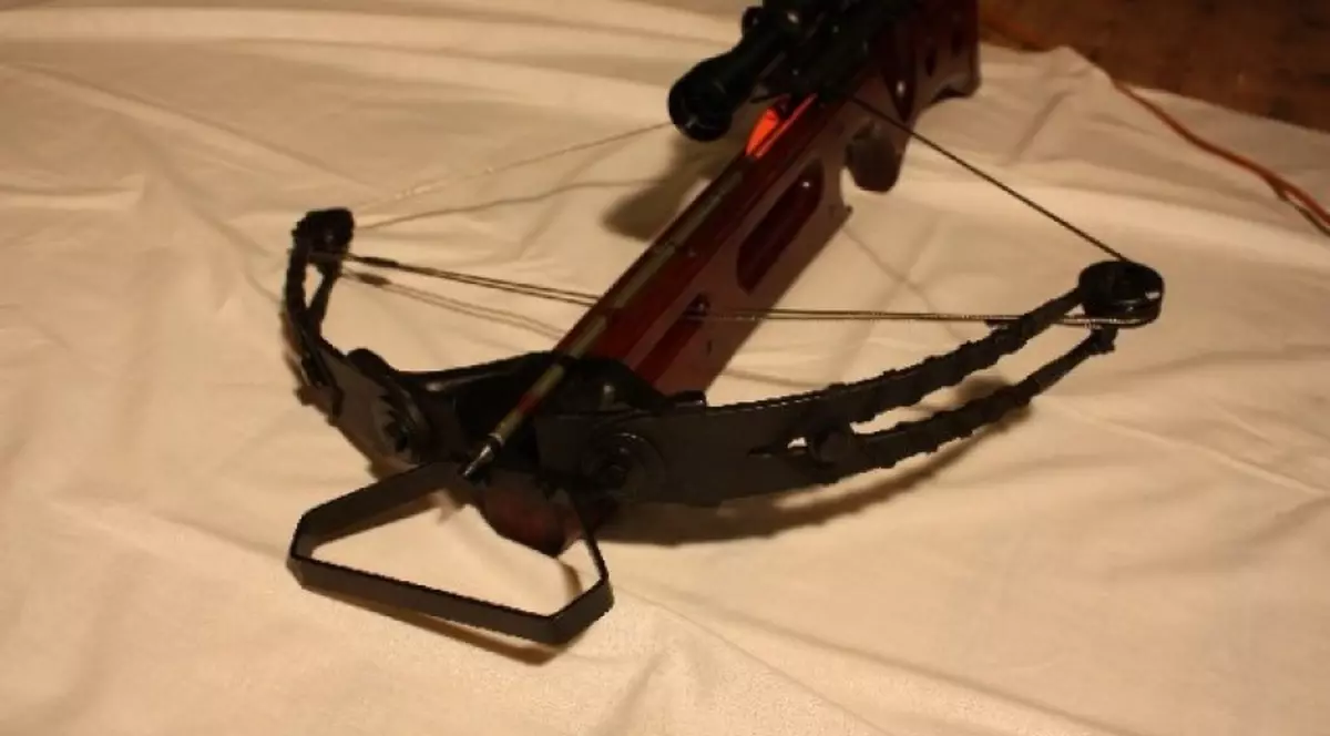 Câini vânați cu arbaleta în Tulcea! Unul a fost ucis, altul grav rănit