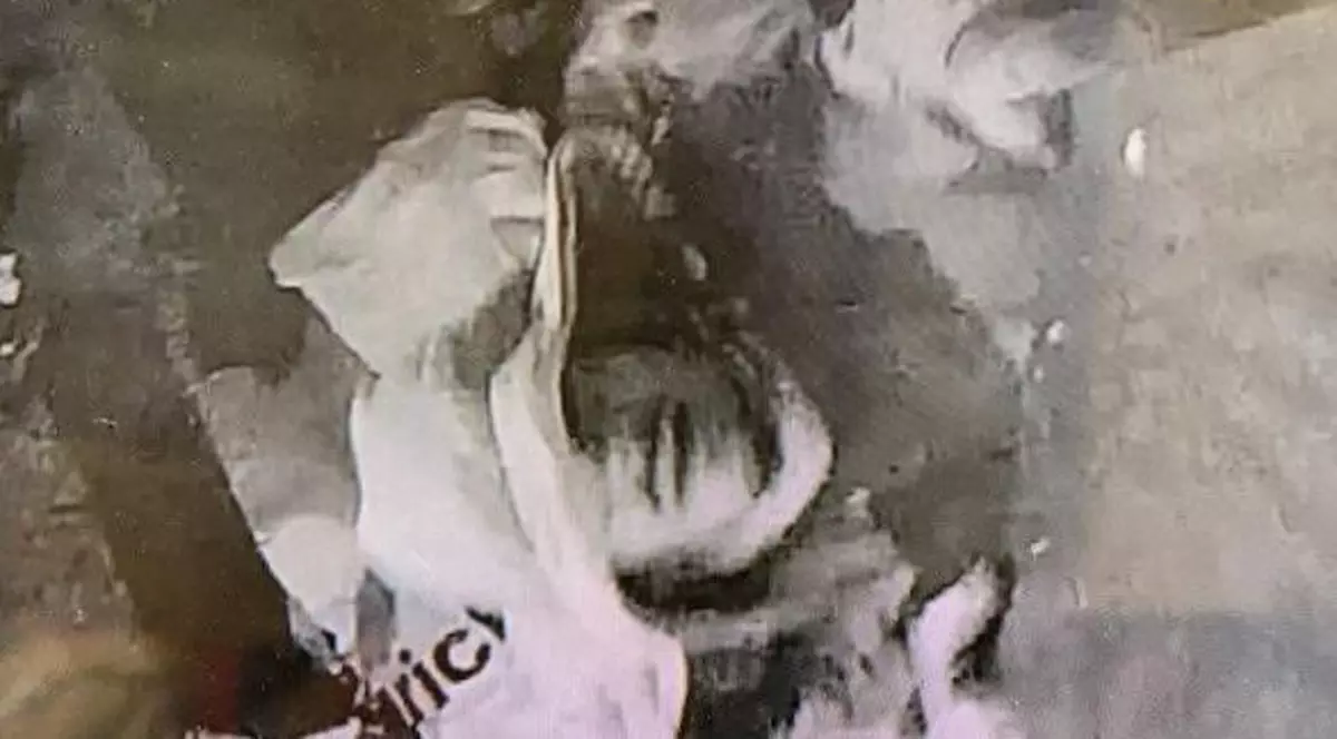 Jaf de Crăciun: o familie din Mangalia, lăsată fără cârnați