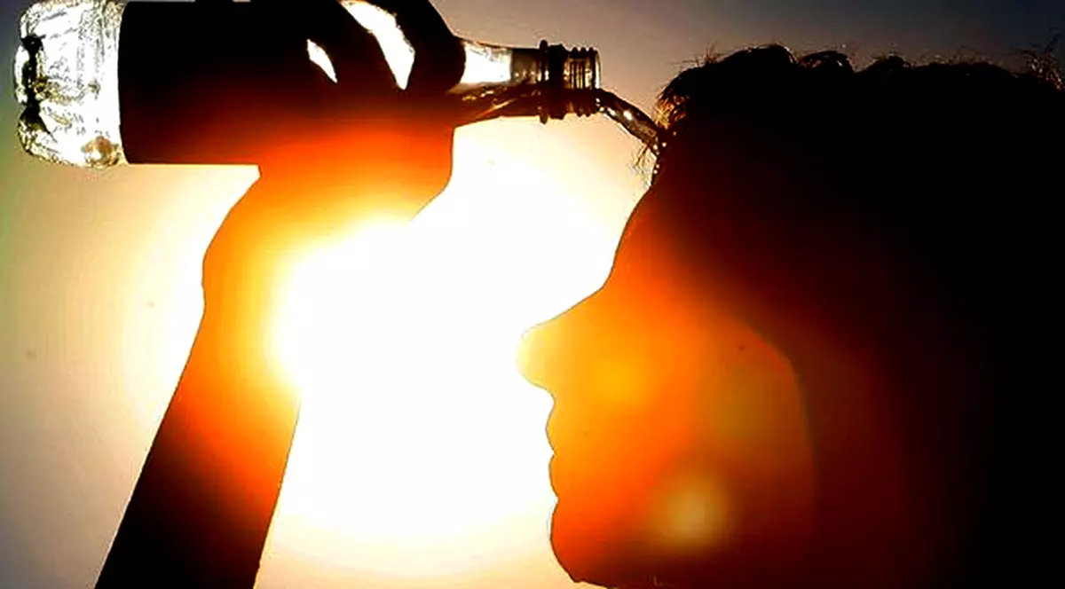 Anul 2019, cel mai călduros de când se fac măsurători în România