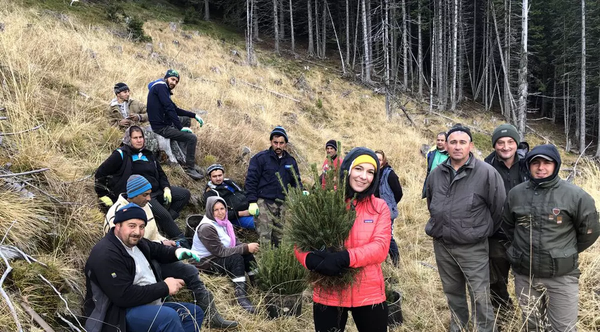 Nicoleta Cărpineanu susține un ambițios proiect de reîmpădurire în România FOTO: forestswithoutfrontiers.org