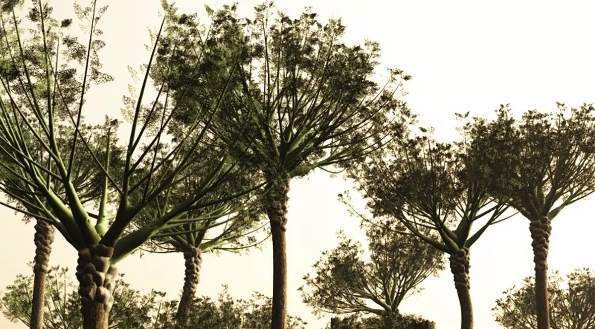 A fost descoperită cea mai veche pădure din lume