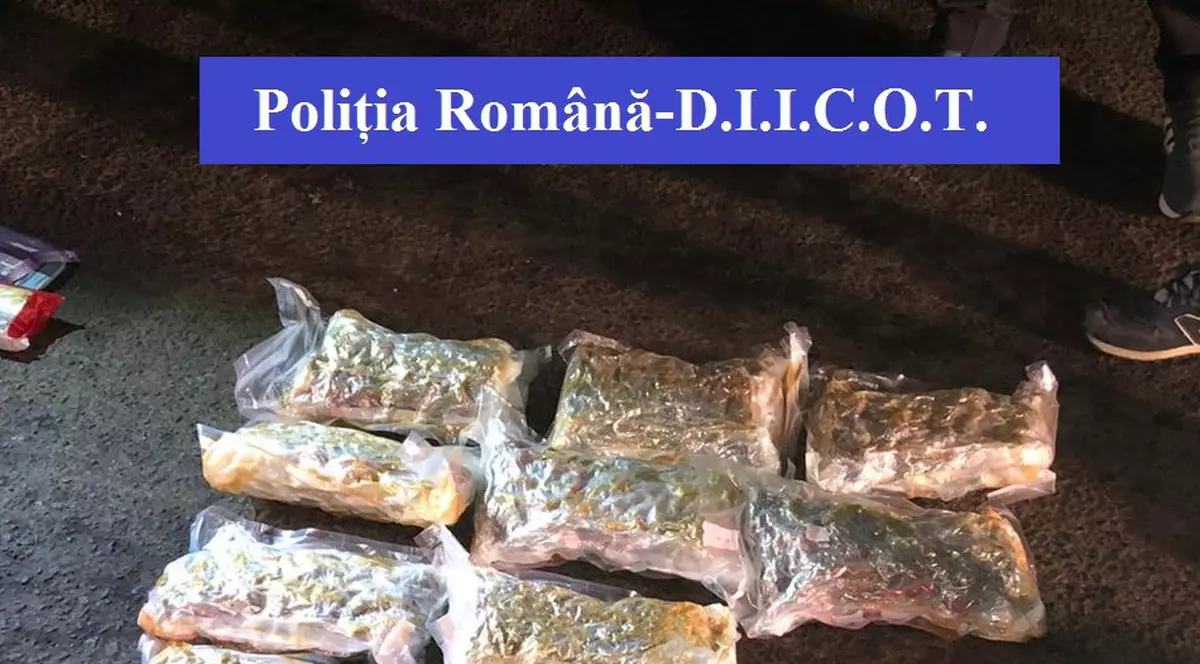 Medic din Arad, prins în flagrant delict când primea 20 de kilograme de canabis