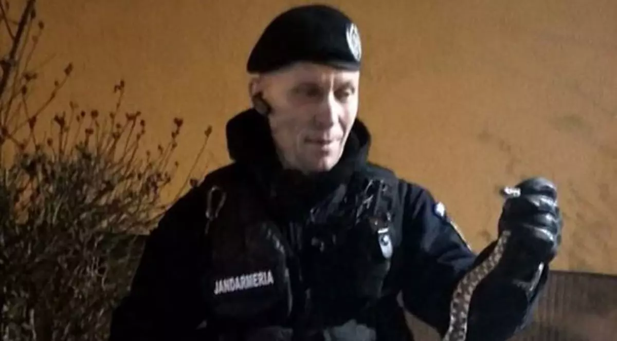 Șarpe descoperit în scara unui bloc din Constanța. Cum au reacționat locatarii