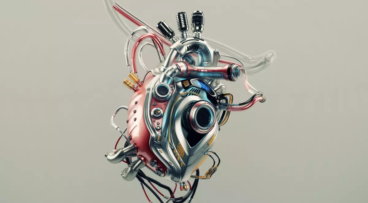 Cercetătorii olandezi lucrează la prima inimă robotizată