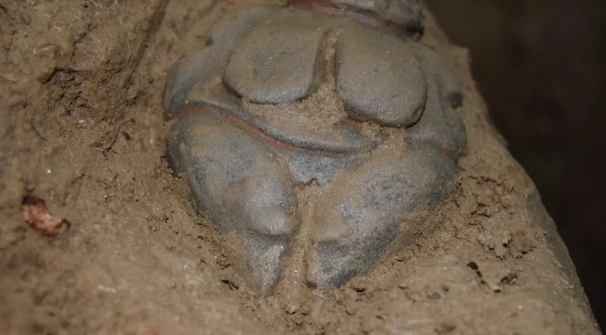 O nouă reacție în cazul Venus de Piatra Neamț. Sorin Nemeti, cercetător clujean: „Este un fals grosolan și asta poate demonstra orice arheolog”