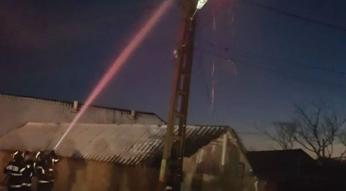 Misiune neobișnuită: pompieri chemați să stingă incendiul de la un cuib de barză