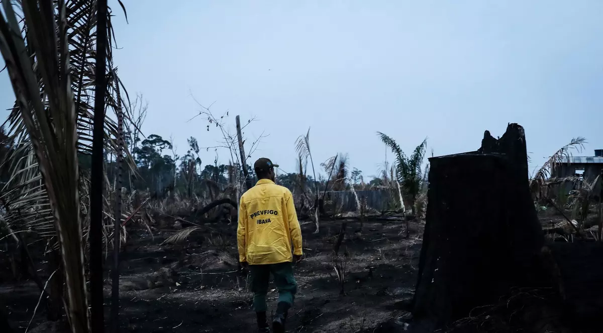 Cum ne afectează tăierile ilegale și schimbările climatice din Brazilia? „Depindem la nivel global de pădurile tropicale”