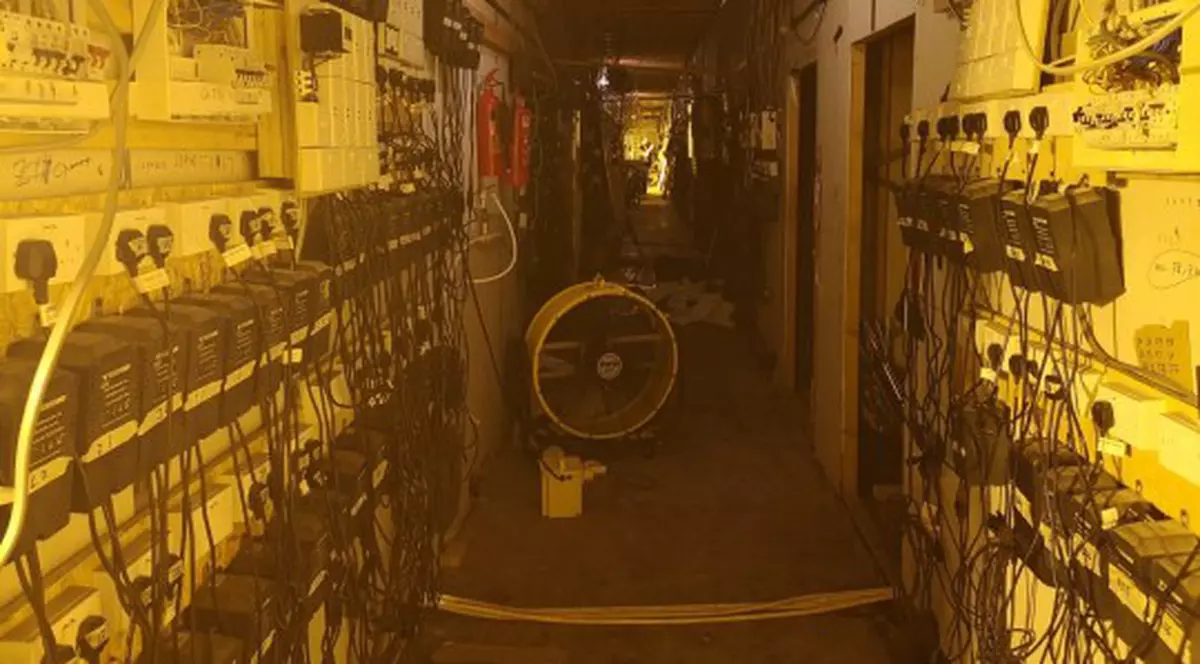 Un imigrant, prizonier într-o fabrică de canabis din Marea Britanie timp de două luni