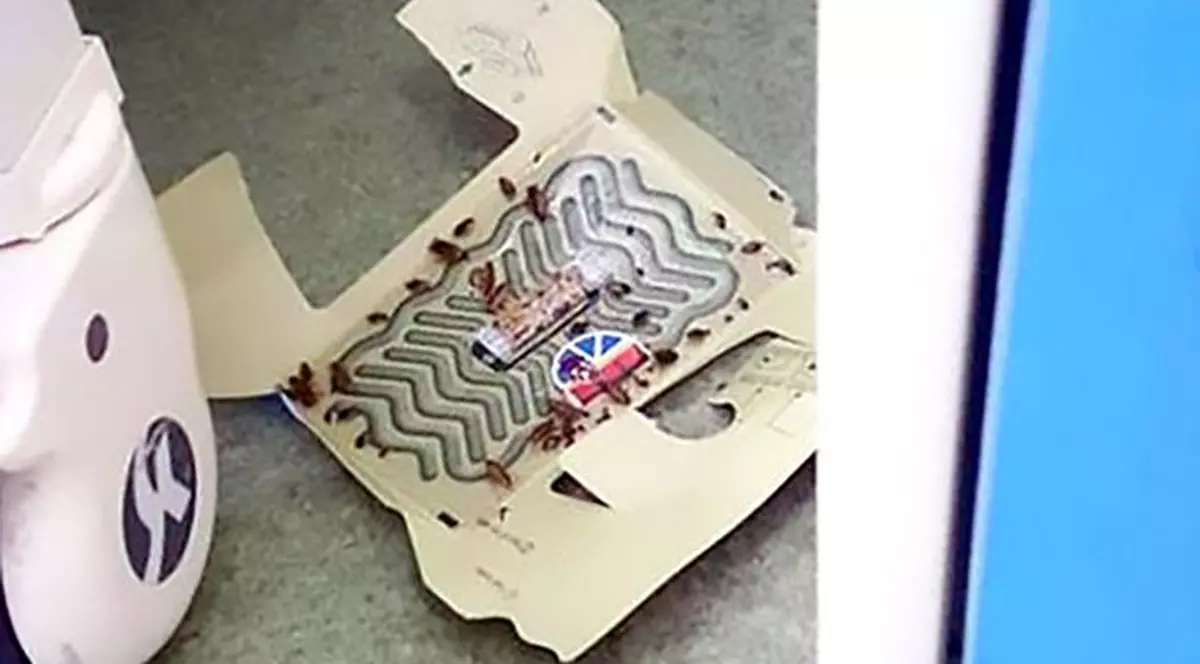 Gandaci la Spitalul de Urgenta Focsani