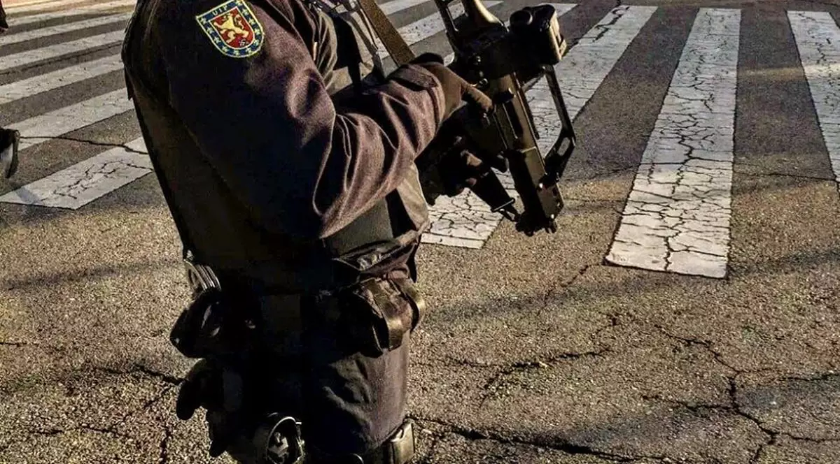 În Spania au fost arestați 42 de români. Sunt suspectați de furturi de peste un milion ce euro