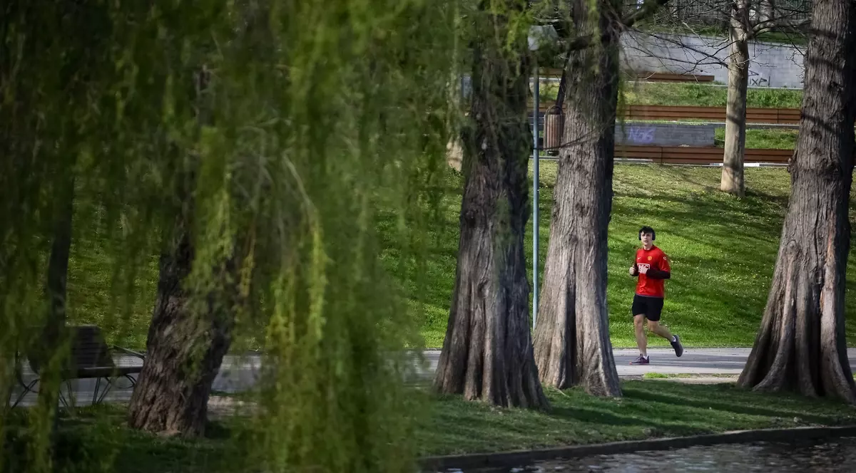 Vremea în București. Rafale de vânt de peste 65 km/oră şi o maximă de 17 grade Celsius