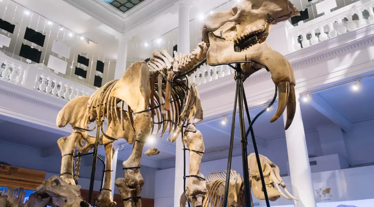 Muzeul Grigore Antipa - București